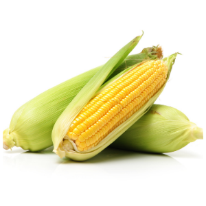 Choclo Humero Pack 5 Unidades