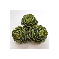 Alcachofa Española Oferta Pack 5 Unidades