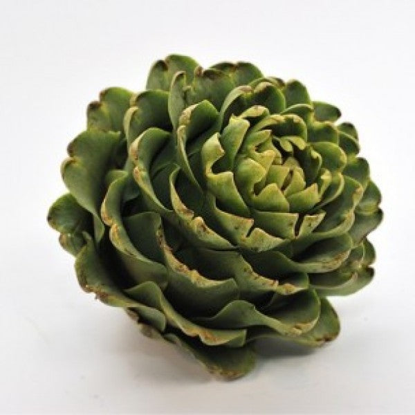 Alcachofa Española Unidad