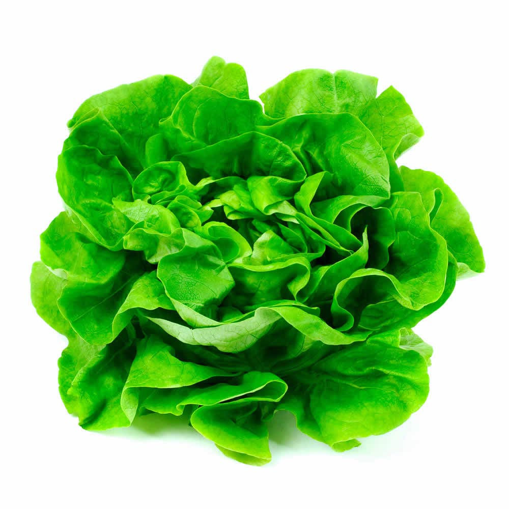 Lechuga Española Verde Unidad