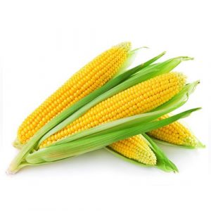 Choclo Americano Pack 5 Unidad