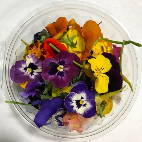 Flores Comestibles Bandeja | A Domicilio | Santiago Natural