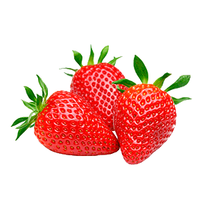 Frutilla 0,5 Kg