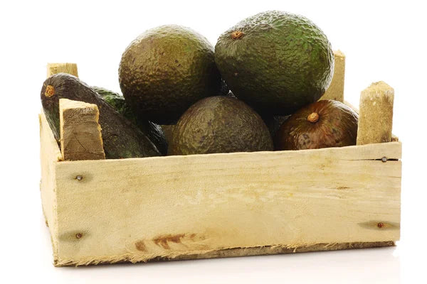 Palta Hass Chilena Extra Caja de 4 Kilos