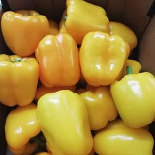 Pimenton Amarillo Pack 5 Unidades