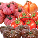 Tomates de herencia de colores
