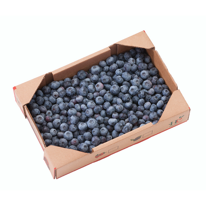 Arándanos Caja 4 Kilos