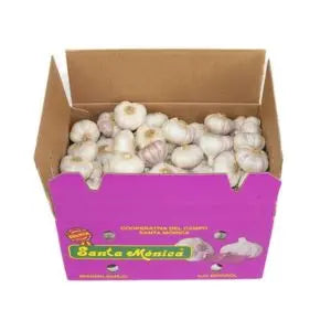 Ajo Caja 140 Unidades