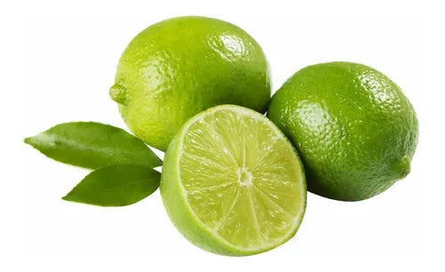 Limón Sutil Malla 5 Kg