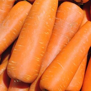 Zanahoria Camote (Tamaño Xl) Malla 20 Kilos