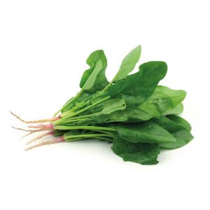 Espinaca Bolsa 1 Kg