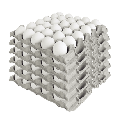 Huevos Caja 180 Primera Blanco