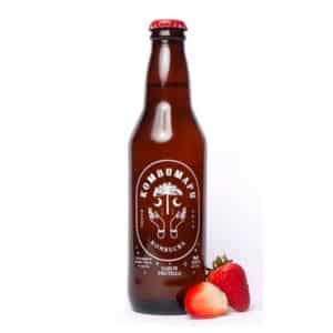 Kombucha Frutilla 330 Cc
