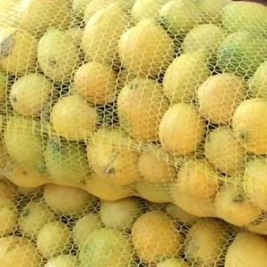 Limón Malla 18 Kg