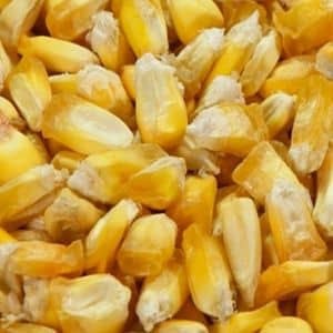 Maiz Cancha Peruano 1 Kilo