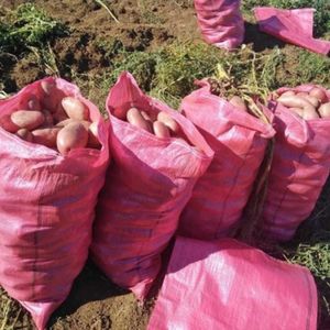 Papa Mediana Saco de 25 Kg