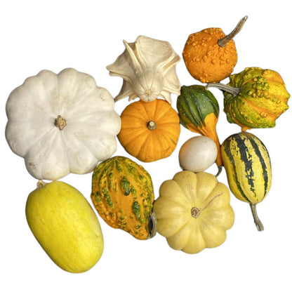 Mix 4 Calabazas Ancestrales