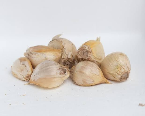 Ajo Chilote Malla 250 Grs | A Domicilio | Santiago Natural