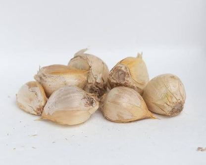 Ajo Chilote Malla 250 Grs | A Domicilio | Santiago Natural