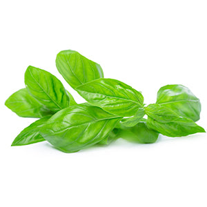 Albahaca 1 Matita de 120 Grs