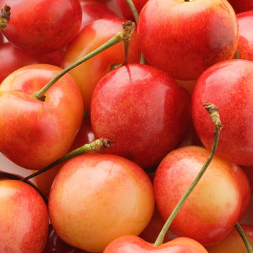 Cereza Corazón de Paloma - Regalo Promocional 0.5kg