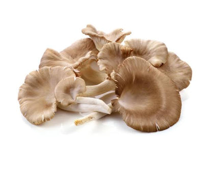 Champiñón Ostra 1 Kg | A Domicilio | Santiago Natural