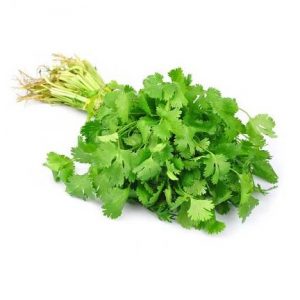 Cilantro 1 Atado de 120 Grs