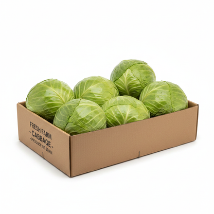 Repollo Liso Caja con 5 Unidades