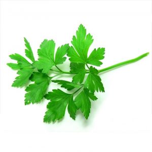 Perejil 1 Atado de 120 Grs