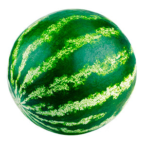 Sandia Mini 1 Unidad